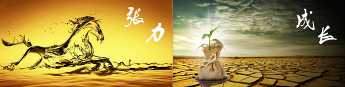 企業(yè)發(fā)展要學(xué)會取他人之長、補自己之短